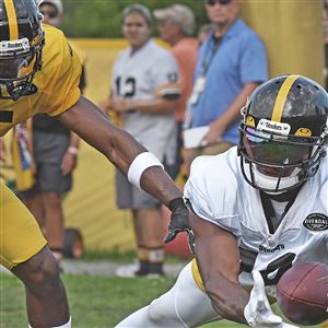 Pittsburgh Steelers: Devin Bush excelling early in rookie season