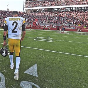 San Francisco crushes Steelers - Red Deer Advocate