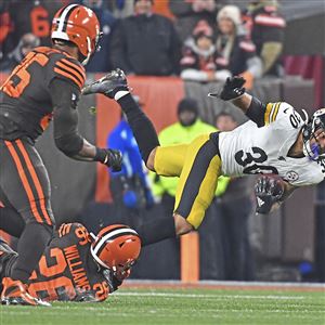 NFL  Steelers' Rudolph: 'No acceptable excuse' for role in brawl