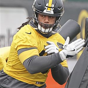 Former Steelers LB Vince Williams Confused by Devin Bush's Career