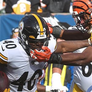 Paul Zeise: Troy Polamalu shouldn't be in Steelers Hall of Honor