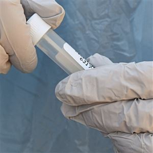 A swab is put into a container after taking a test for COVID-19.