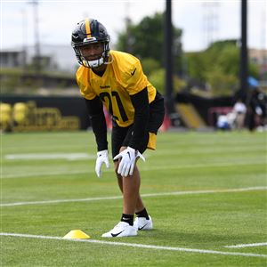 Put me in, Coach!': Dick LeBeau will present Troy Polamalu for