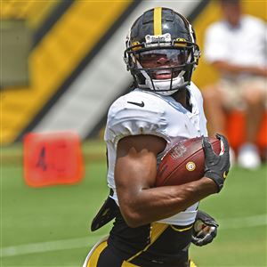 Pittsburgh Steelers tight end Zach Gentry (81) during an NFL football  practice, Wednesday, July 28, 2021, in Pittsburgh. (AP Photo/Keith Srakocic  Stock Photo - Alamy