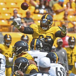Paul Zeise: Troy Polamalu shouldn't be in Steelers Hall of Honor until he  mends fences