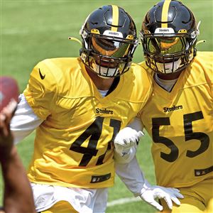 Alan Faneca lobbies for Steelers teammate Hines Ward to join him in Canton:  'He is a Hall of Famer'