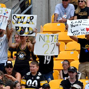 Steelers fans will probably have to wear masks this season