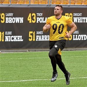 T.j. Watt Pittsburgh Steelers Unsigned Sack Reaction Photograph