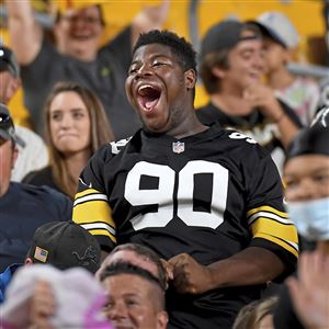 Heinz Field fan fight during Steelers-Lions game prompts investigation by  Pittsburgh police