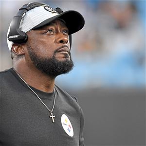 Panthers host Steelers in last preseason game - Salisbury Post