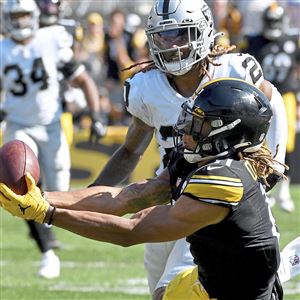 Steelers fear Tyson Alualu lost for the season, injuries piling up