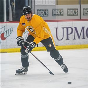 Louis Domingue Hockey Stats and Profile at