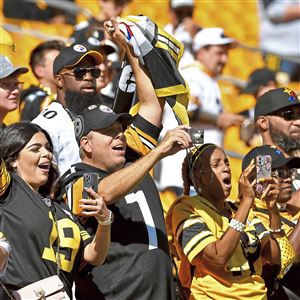 Steelers vs Falcons: Cameron Heyward cheers brother in dad's jersey