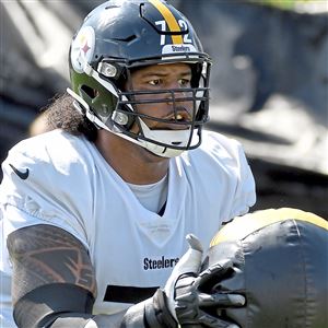 Paul Zeise: Troy Polamalu shouldn't be in Steelers Hall of Honor