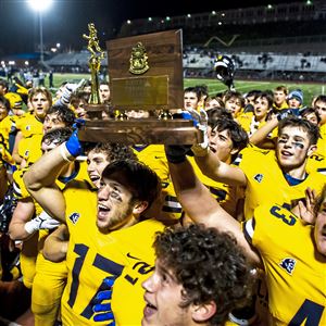 Mt. Lebanon won the WPIAL Class 6A football championship this past season, but the Blue Devils will be one of only five teams in Class 6A next season.