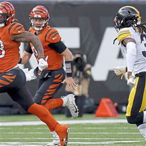 Bengals' Joe Burrow humiliates AFC North QBs in jersey sales