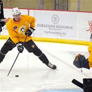 Penguins slot free-agent goaltender Dustin Tokarski into 3rd spot on depth  chart
