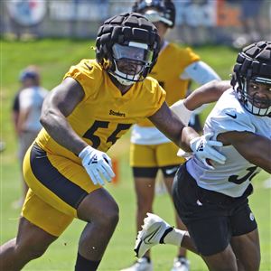 Paul Zeise's mailbag: Is there any chance Devin Bush gets cut