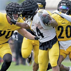 U.S. Customs and Border Protection officers in Pittsburgh seized a combined  60 Pittsburgh Steelers Super Bowl rings in eight different parcels that  arrived from China and were destined to addresses in Allegheny