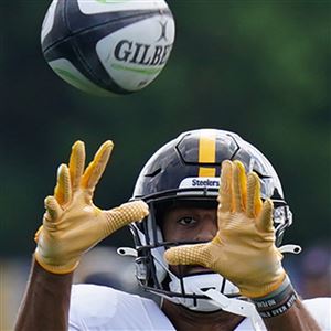 Ron Cook: Steelers WRs can be dangerous — if one wild card works out