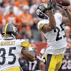 Injury sidelines Steelers' Watt - The Iola Register