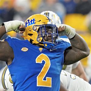 Pitt tops Tech in defensive struggle - Statesboro Herald