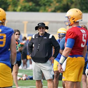 Pitt notebook: Players choose outdoor scrimmage; Dorsett, Cavanaugh to be  honorary coaches for spring game