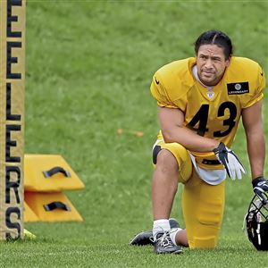 Steelers legend Troy Polamalu goes 4th overall in 2003 NFL re-draft