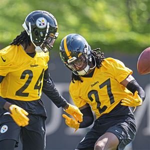 Steelers make 10 more cuts, including Wilkinsburg's Kenny Robinson, No. 4  QB Tanner Morgan