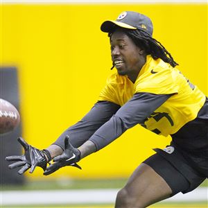 Ray Fittipaldo's Steelers chat transcript: 06.06.23