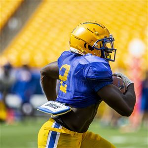 Gold Beats Blue in Pitt Spring Game - Pitt Panthers #H2P