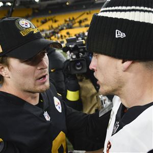 Joe Starkey: Please don't let the Steelers' $100M, allegedly