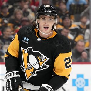 Pittsburgh Penguins' Alex Nedeljkovic Hounded by One Question