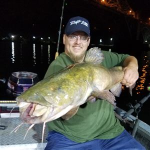 This Ohio River flathead took cut bait and was released in Allegheny County waters by James Swearingen of McKees Rocks on the night of Aug. 16. 