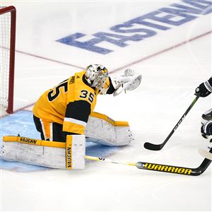 Ron Cook: Penguins goalie Marc-Andre Fleury is building a Hall of Fame  resume