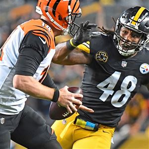 Steelers vs Browns Full Ticket December 31, 2017 @ Heinz Field