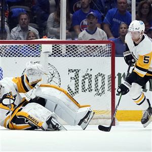 Ron Cook: Penguins goalie Marc-Andre Fleury is building a Hall of Fame  resume