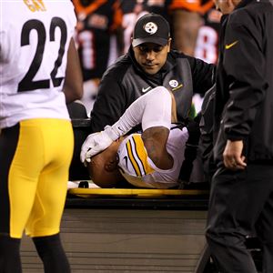 Vince Williams wears Ryan Shazier's jersey in practice