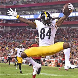 Pittsburgh Steelers Antonio Brown smiles from the bench while watching the  replay of his first quarter touchdown against the Indianapolis Colts at  Heinz Field in Pittsburgh on August 19, 2012. UPI/Archie Carpenter