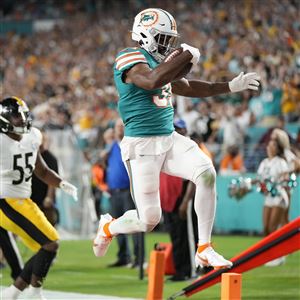 Pittsburgh Steelers vs Miami Dolphins