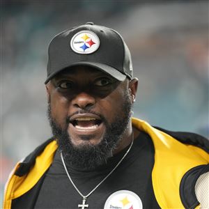 Here's Mike Tomlin punching a dolphin. Inspired by the AI generated Steelers  v Dolphin pic thread and Mike Tomlin day : r/steelers