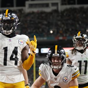 Steelers Rout Dolphins 30-12, Advance to Face Chiefs - ESPN 98.1 FM - 850  AM WRUF