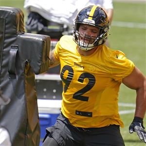 Troy Polamalu reported to be part of committee advising NFL on COVID