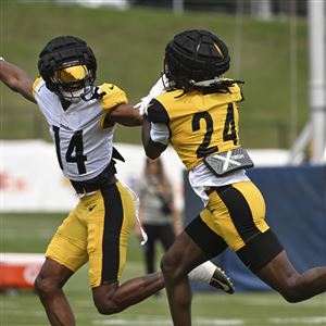 Peterson eager to be 'a ballplayer instead of just a cornerback' in  Steelers defense