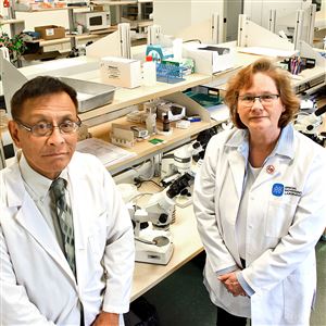 Victor Yu  and Janet Stout in their labs at Special Pathogens Laboratory. They study the presence of Legionella at their Fifth Avenue offices.