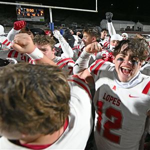 Avonworth celebrates a win over Penn Cambria 16-6 in the PIAA Class 3A Football semi-final game at Norwin Stadium in Irwin on Friday Nov. 29, 2024. 