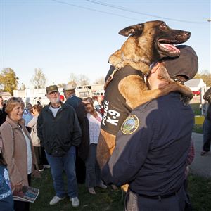 Big Ben's dogs are everywhere, serving police partners