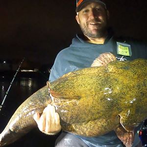 Walleye cheating scandal at Lake Erie upends competitive fishing world