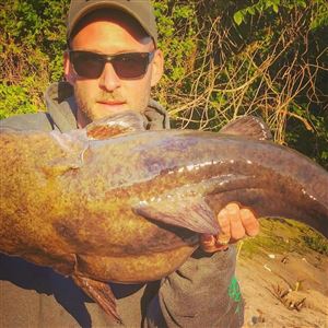 How Pittsburgh river anglers are catching bigger catfish