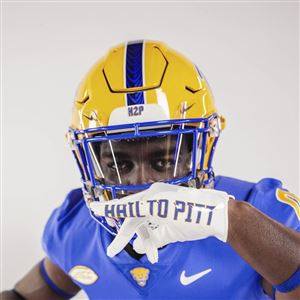 Hermanek Adds Three to 2022 Class - Pitt Panthers #H2P